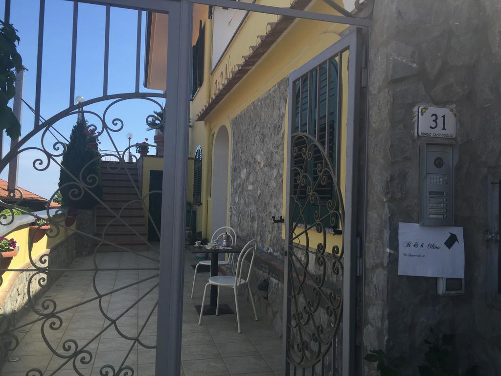 Bed and breakfast Oliva Scala