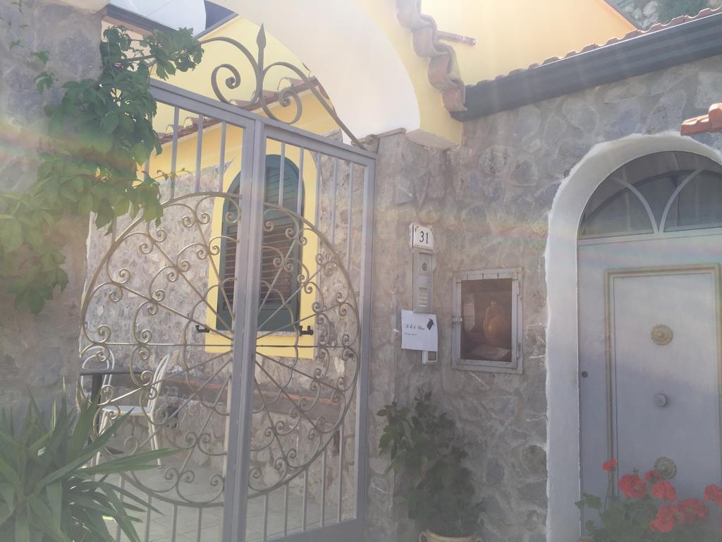 Bed & Breakfast Oliva