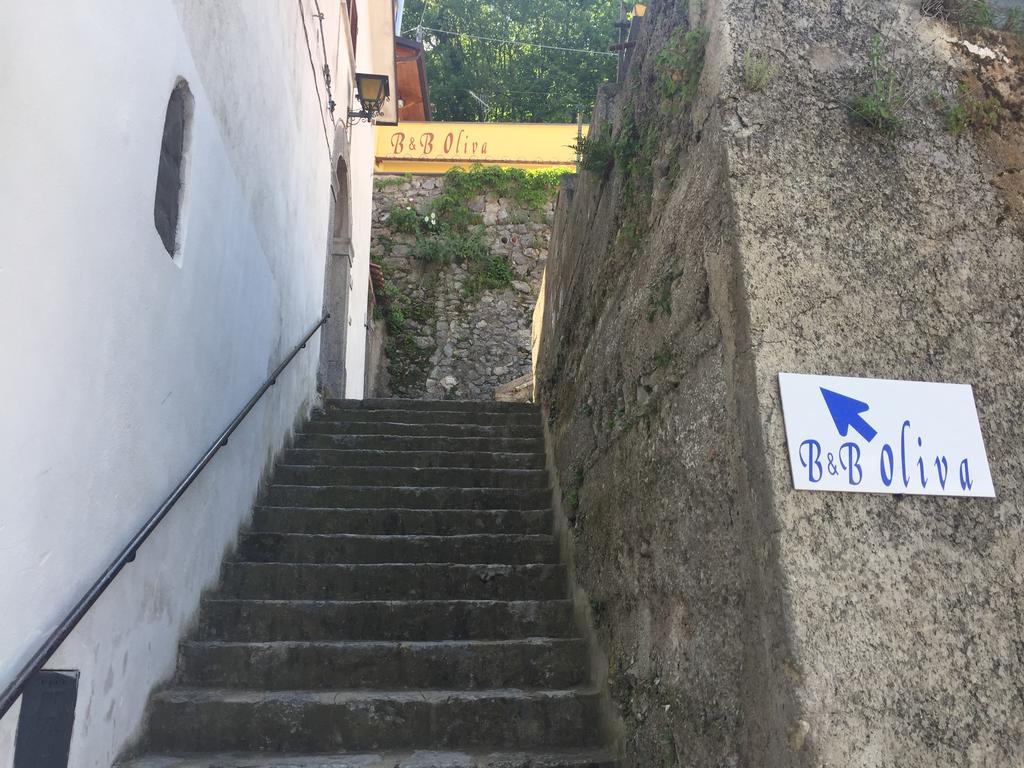Oliva Scala